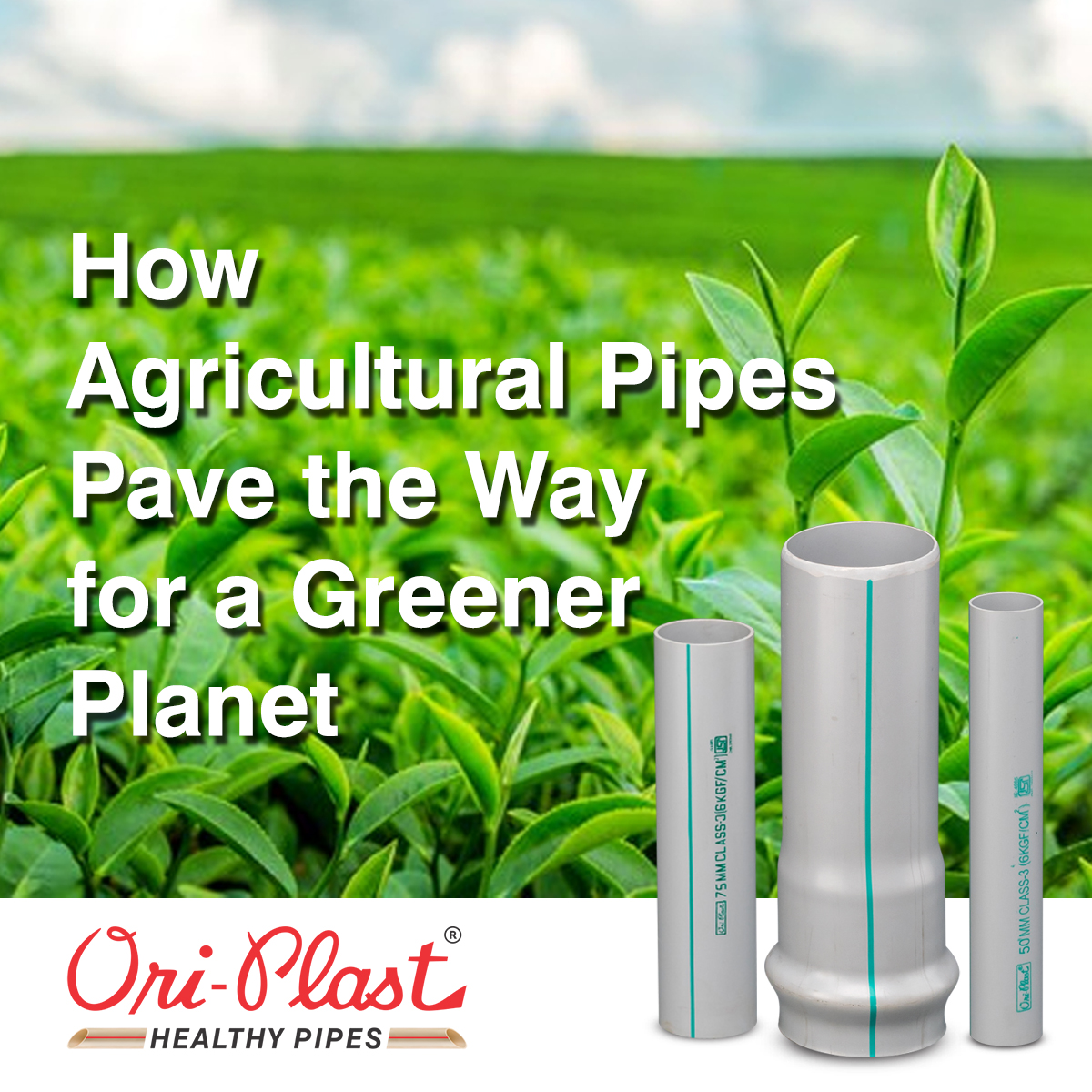如何使用储水罐可以促进灌溉